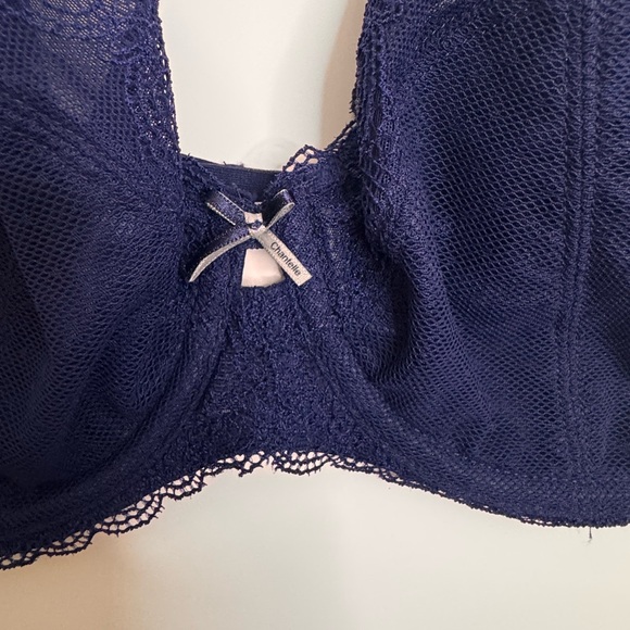 Chantelle Blue Lace Underwire Bra 34DD - Picture 2 of 5